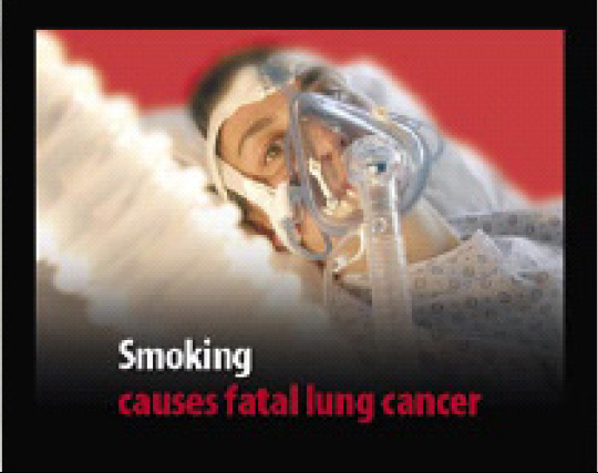 EU 2004 Health Effects lung - lived experience, lung cancer