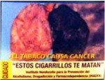 Honduras 2011 - Health Effect lung - Lung cancer, diseased organ2