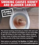 Australia 2012 Health Effects Other - kidney bladder cancer back