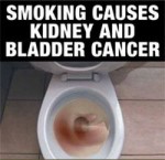 Australia 2012 Health Effects Other - kidney bladder cancer front
