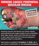 Australia 2012 Health Effects Vascular - gangrene gross back
