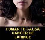 Ecuador 2014 Health Effects other - laryngeal cancer