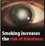 EU 2016 Health Effects eye - blindness