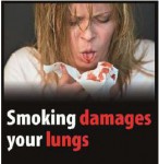 EU 2016 Health Effects lung - lung damage, blood