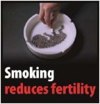 EU 2016 Health Effects sex - fertility, clever, targets parents