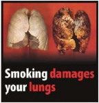 EU 2016-Set 3-Health Effects lung - lung damage