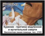 Kyrgyzstan 2016 Health Effects Death - slow and painful death, lived experience