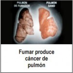 Panama 2008 Health Effects Lung - lung cancer, diseased organ