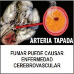 Panama 2012 Health Effects Vascular System - cerebrovascular disease
