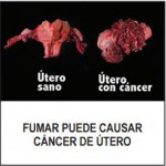 Panama 2014 Health Effects Other - Uterine cancer
